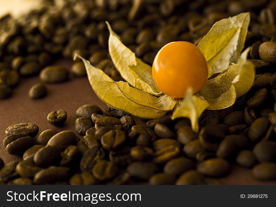 Closeup of Physalis and coffee beans