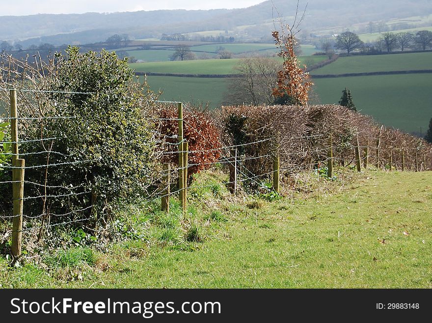 Country hedge with fence in English countryside