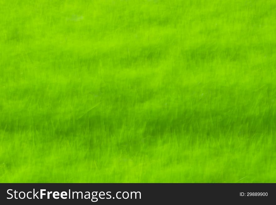 Blur Green Background