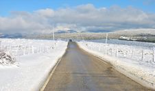 Long Straight Road Stock Images Long Straight Road Stock Images