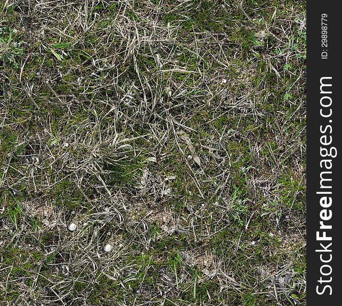 Grass Seamless Tileable Texture. See my other works in portfolio. Grass Seamless Tileable Texture. See my other works in portfolio.