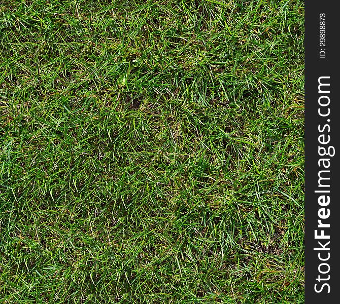 Green Grass. Seamless Tileable Texture. Green Grass. Seamless Tileable Texture.