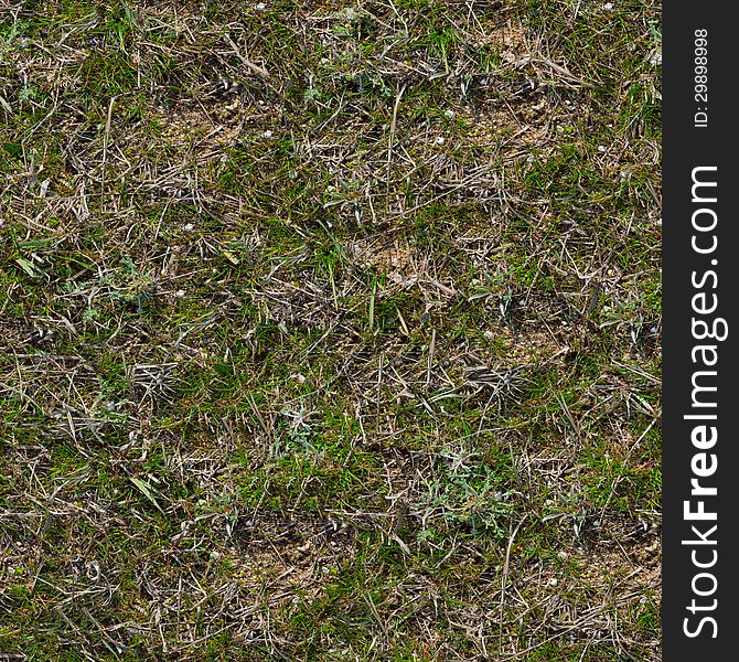 Grass Seamless Tileable Texture. See my other works in portfolio. Grass Seamless Tileable Texture. See my other works in portfolio.