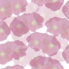 Flowery Background Pink Royalty Free Stock Photo