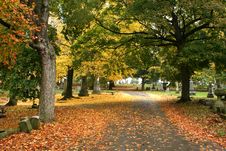 Fall In Nashville Royalty Free Stock Images Fall In Nashville Royalty Free Stock Images