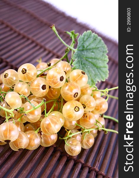 white currant on white background