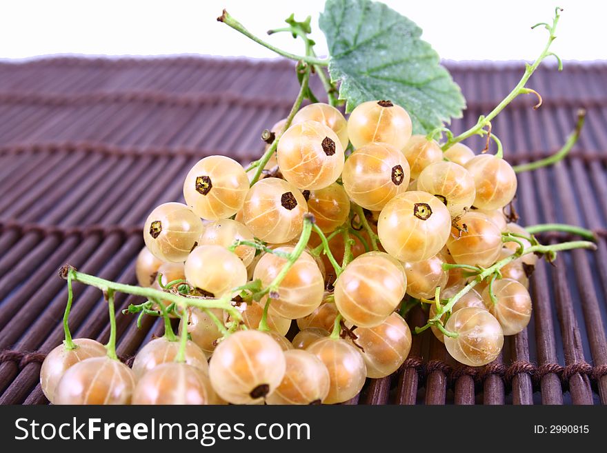 white currant on white background