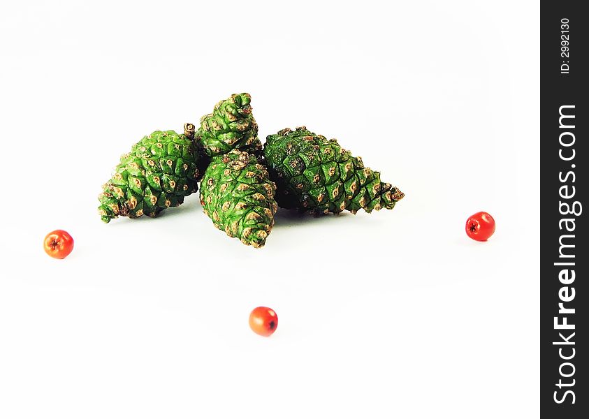Nature, forest:  four green pine cones and three friuts rowan on wite background. Nature, forest:  four green pine cones and three friuts rowan on wite background
