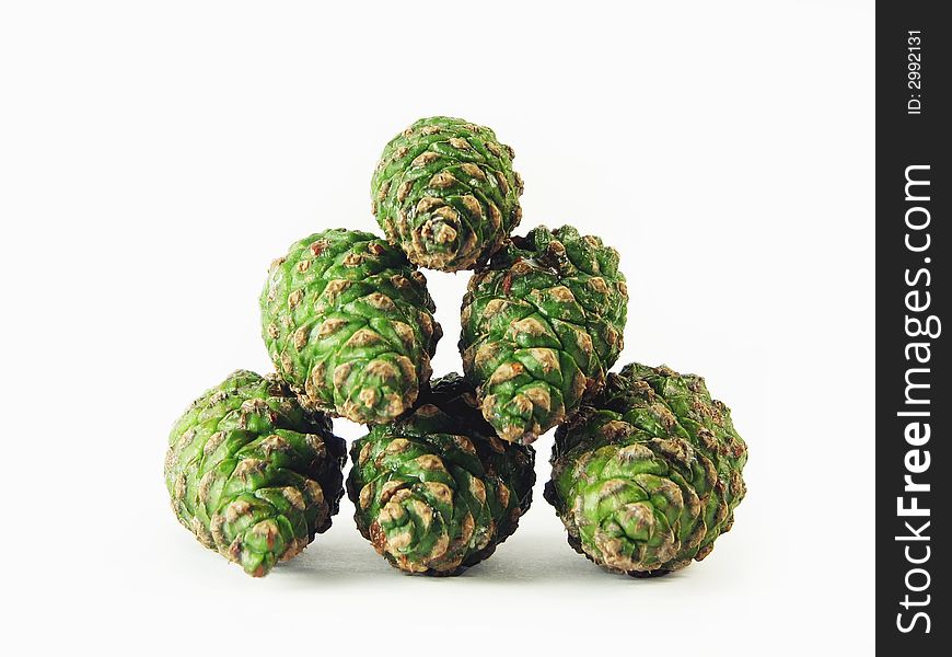 Nature, forest: six green pine cones on wite background