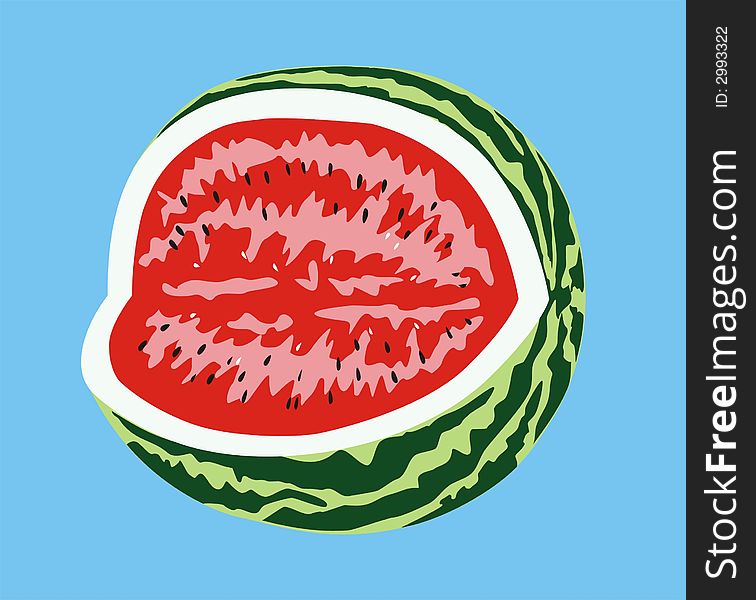 Illustration of the fresh melon