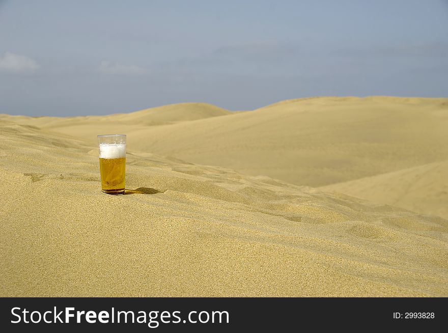 Fresh Beer In Desert