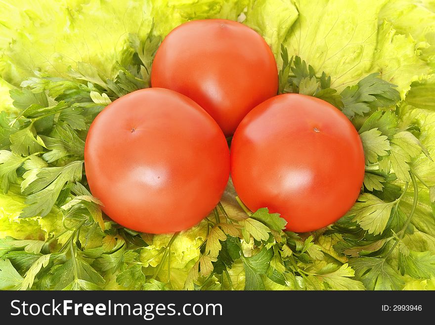 Red tomatoes on the leaves of  lettuce and parsley. Red tomatoes on the leaves of  lettuce and parsley