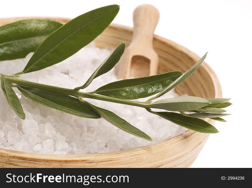 Bath items. salt and fresh olive branch. isolated on the white background. Bath items. salt and fresh olive branch. isolated on the white background.
