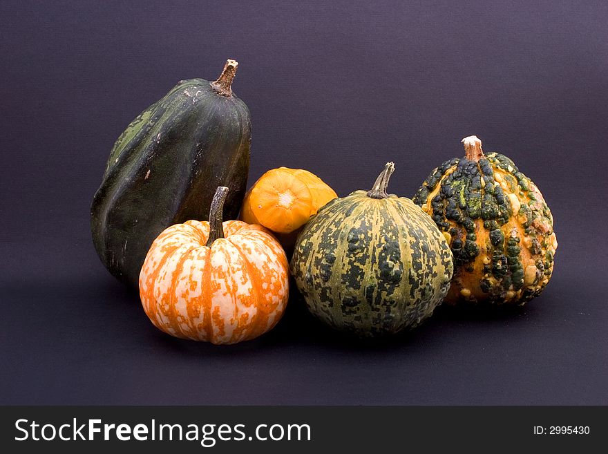 Still life of five gourds on black

<b><a href=http://www.dreamstime.com/search.php?srh_field=thanksgiving&s_ph=y&s_il=y&s_sm=all&s_cf=1&s_st=wpo&s_catid=&s_cliid=301111&s_colid=&memorize_search=0&s_exc=&s_sp=&s_sl1=y&s_sl2=y&s_sl3=y&s_sl4=y&s_sl5=y&s_rsf=0&s_rst=7&s_clc=y&s_clm=y&s_orp=y&s_ors=y&s_orl=y&s_orw=y&x=29&y=19>View more thanksgiving pictures. </a></b>. Still life of five gourds on black

<b><a href=http://www.dreamstime.com/search.php?srh_field=thanksgiving&s_ph=y&s_il=y&s_sm=all&s_cf=1&s_st=wpo&s_catid=&s_cliid=301111&s_colid=&memorize_search=0&s_exc=&s_sp=&s_sl1=y&s_sl2=y&s_sl3=y&s_sl4=y&s_sl5=y&s_rsf=0&s_rst=7&s_clc=y&s_clm=y&s_orp=y&s_ors=y&s_orl=y&s_orw=y&x=29&y=19>View more thanksgiving pictures. </a></b>