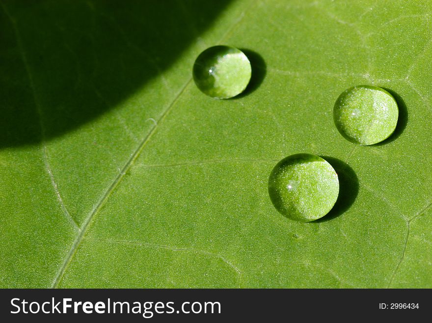 Three waterdrops