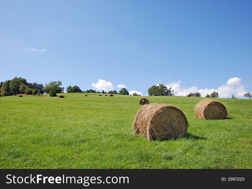 Landscape of the green field after harvest