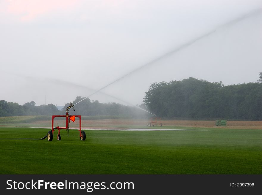 High powered sprinklers spray water onto a farm field. High powered sprinklers spray water onto a farm field.