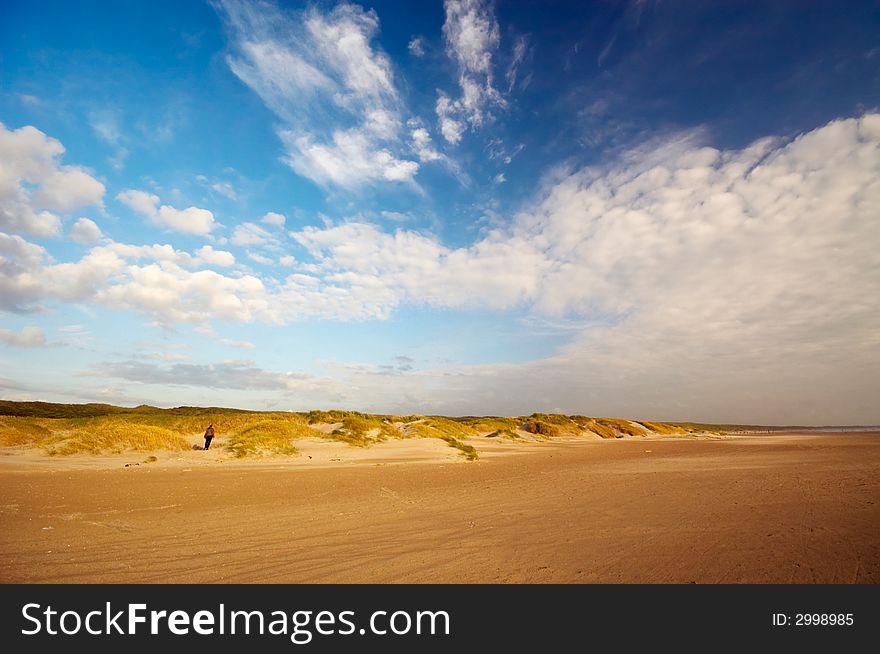 Blue sky sand dunes and ocean