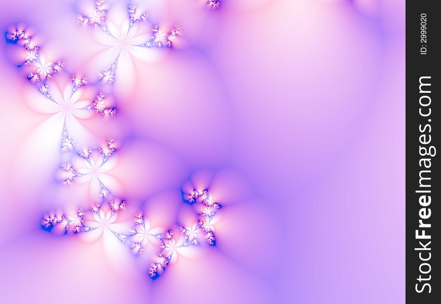 Beautiful white flowers on a pink background