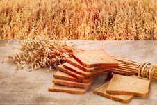 Loaf Of Rye Bread On A Background Of Ripe Rye Field At Sunset Royalty Free Stock Image Loaf Of Rye Bread On A Background Of Ripe Rye Field At Sunset Royalty Free Stock Image