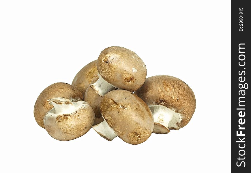 Isolated pile of brown edible mushrooms on white. Isolated pile of brown edible mushrooms on white