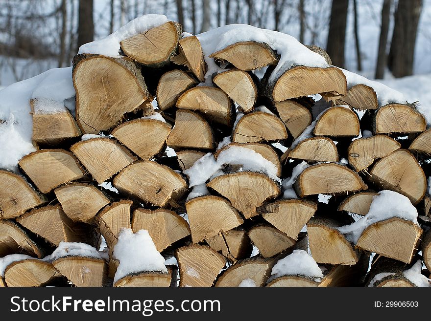 Stacked firewood ready for a long winter