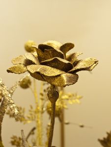 Golden Rose Royalty Free Stock Images Golden Rose Royalty Free Stock Images