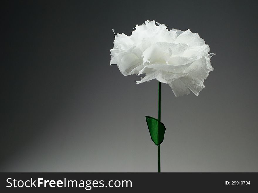 Flower Of White Paper