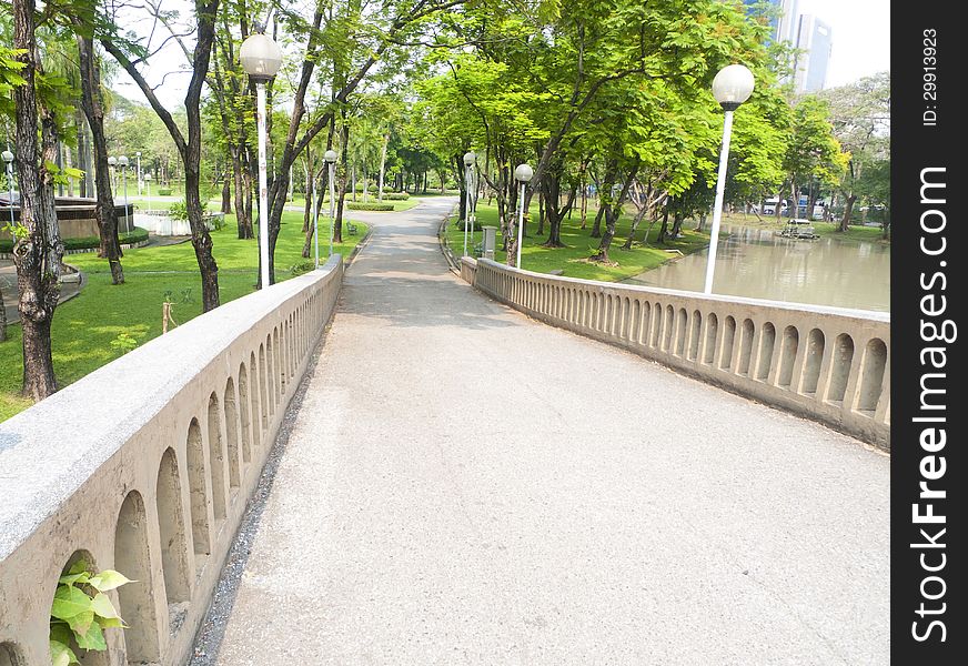 Bridge in garden.