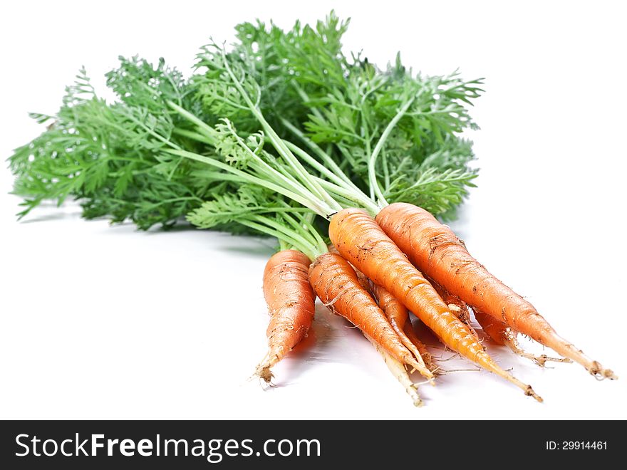 Carrots with leaves on a white background.