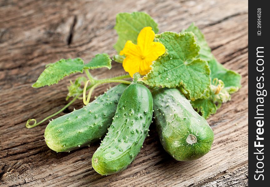 Cucumbers With Leaves