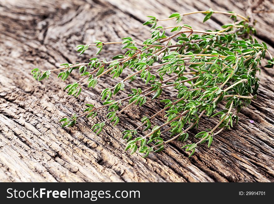 Thyme herb on wooden table. Thyme herb on wooden table.