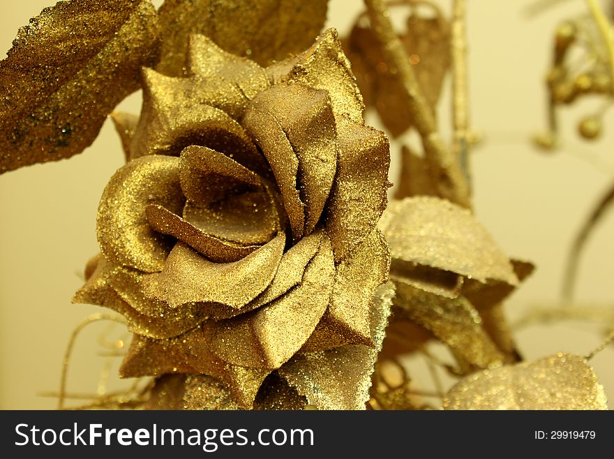 Golden Rose