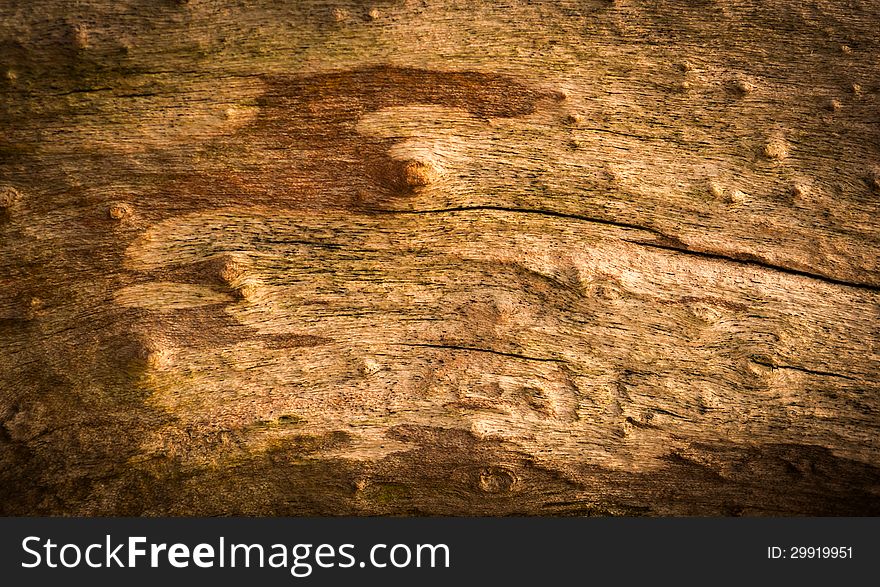 Vintage Grungy Old Wood.