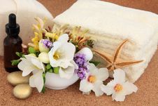 Flower Spa Treatment Royalty Free Stock Photography Flower Spa Treatment Royalty Free Stock Photography