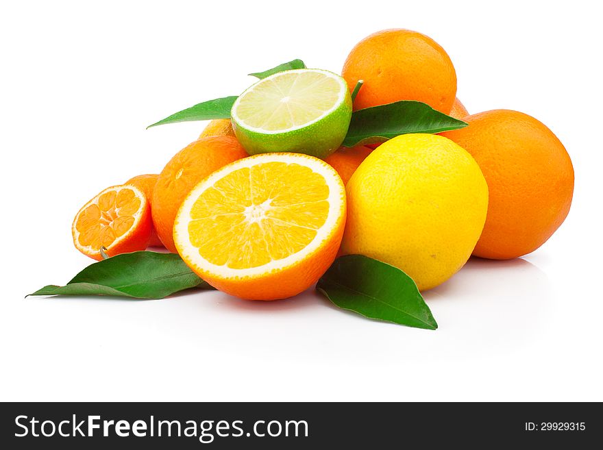 Set of fresh citrus fruits with green leaves, on white background. Set of fresh citrus fruits with green leaves, on white background