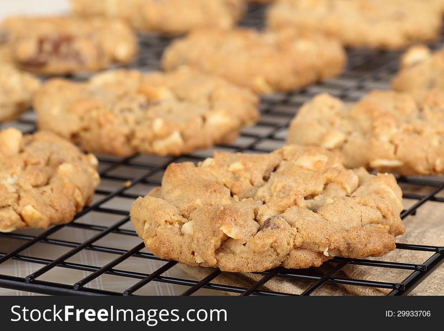 Closeup of peanut butter cookies on a rack. Closeup of peanut butter cookies on a rack