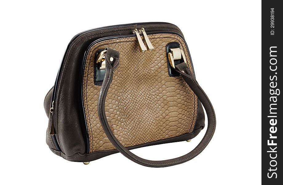 Female bag of brown colour with an insert from a skin of a snake separately on a white background