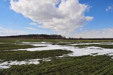 Bits And Pieces Of Snow On The Wheat Field By An Early Spring Stock Images Bits And Pieces Of Snow On The Wheat Field By An Early Spring Stock Images