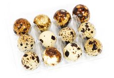 Quail Eggs In A Box Stock Image Quail Eggs In A Box Stock Image