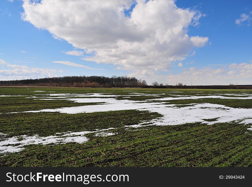 Bits And Pieces Of Snow On The Wheat Field By An Early Spring