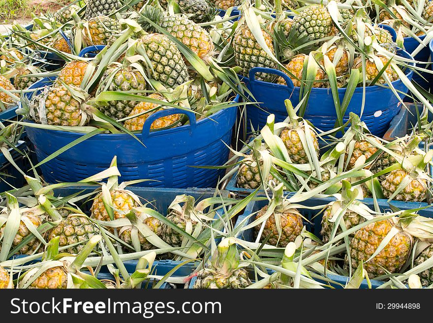 Pineapples fruits in basket for sale in market, Thailand