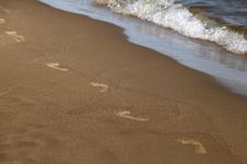 Footprints Along The Shore Royalty Free Stock Photo Footprints Along The Shore Royalty Free Stock Photo
