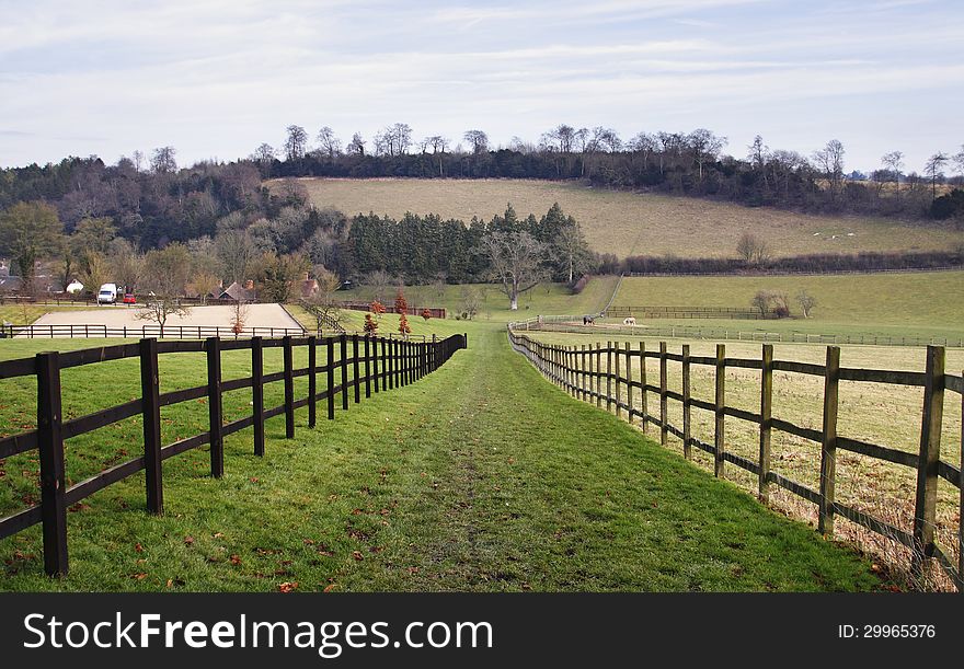 An English Rural Landscape with grassy track through a field. An English Rural Landscape with grassy track through a field