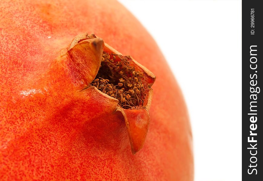 Macro fresh pink pomegranate isolated on the white. studio