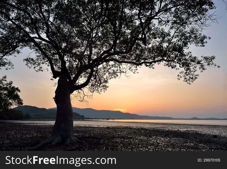Beautiful landscape image with trees silhouette at sunset. Beautiful landscape image with trees silhouette at sunset