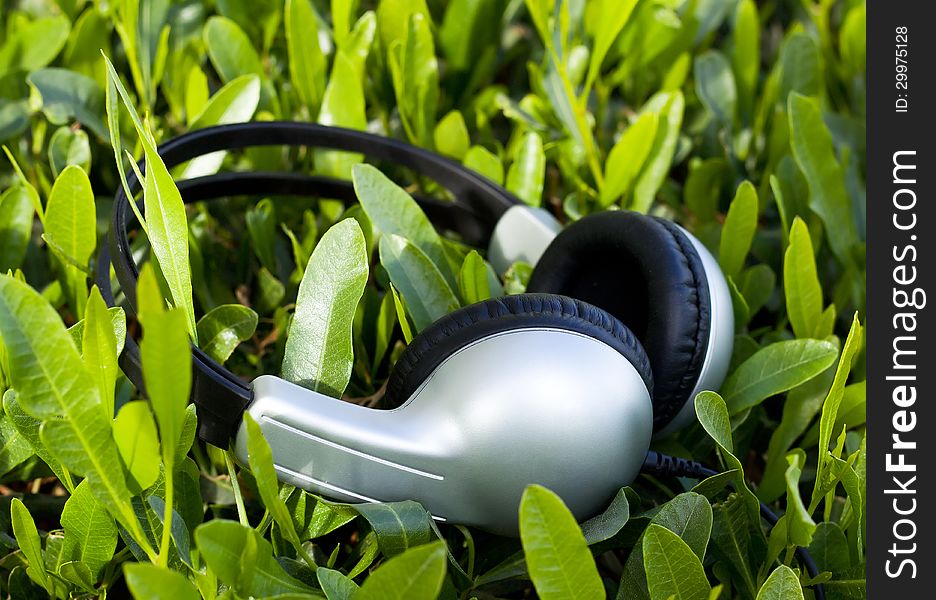 Light gray Headphones on green grass