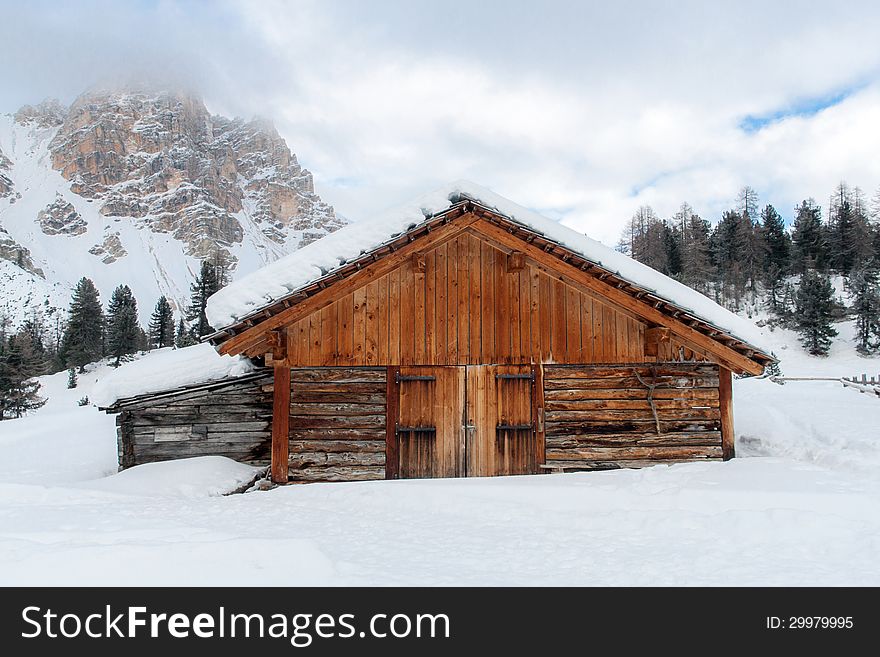 Wooden cottage near the pine forest, covered in snow