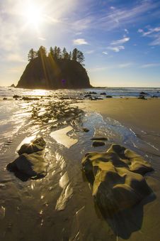 Seastack Sanctuary At Low Tide Second Beach Olympic National Park Stock Images