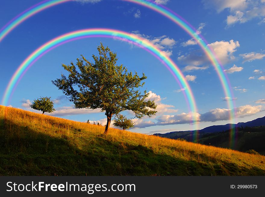 Evening Landscape with a rainbow above the tree. Evening Landscape with a rainbow above the tree